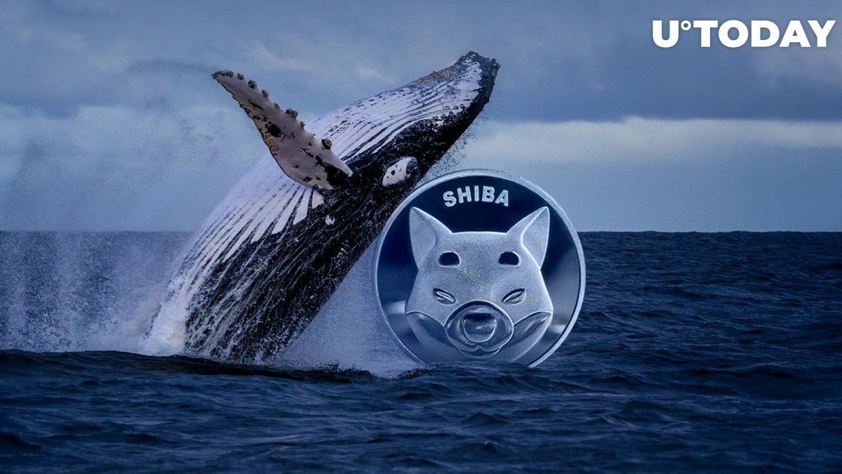 IMG 20220904 190046 340 - یک نهنگ 22.2 میلیون دلار شیبا در یک هفته خریداری کرد