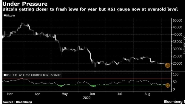 screenshot www.bnnbloomberg.ca 2022.09.07 09 50 09 - با کاهش بیت کوین به کف های قیمتی سال 2022، ارزش بازار رمزارزها به زیر 1 تریلیون دلار رسید