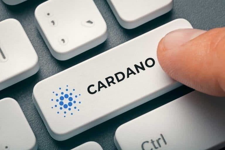 کاردانو 1 - در آستانه هاردفورک واسیل، پروژه های NFT در شبکه کاردانو به مرز 7000 مورد رسید